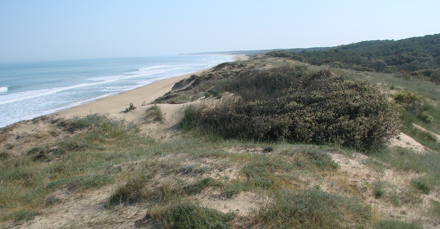 Le littoral, un milieu fragile