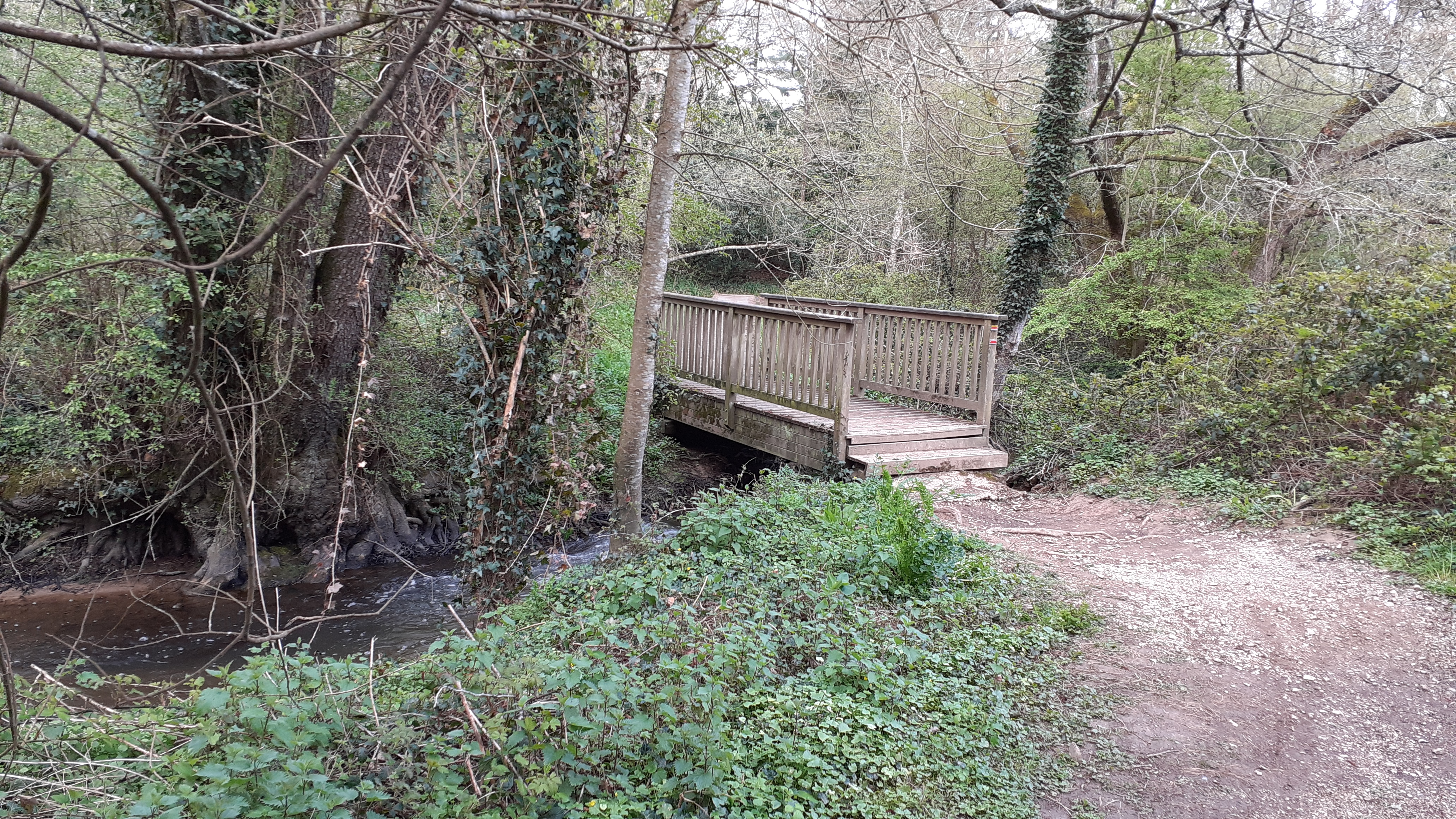 Pont sur le Riot du Plessis