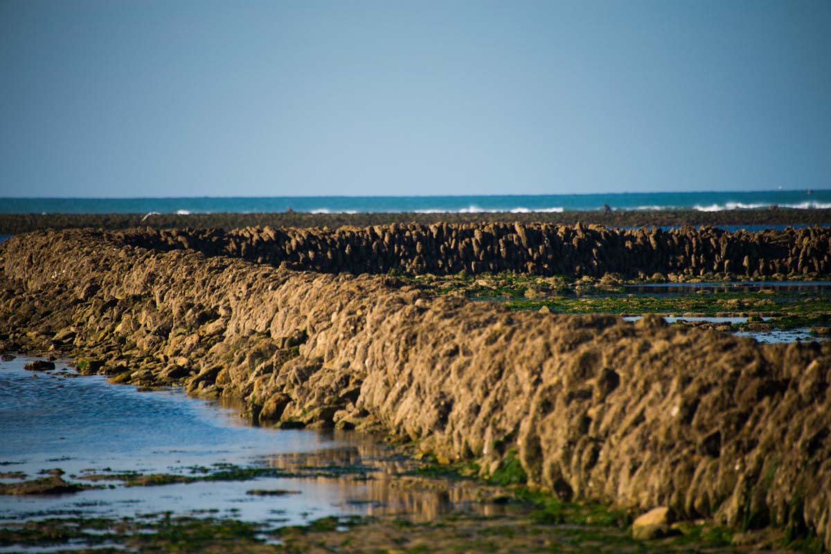 Pcherie La Tranche-sur-Mer