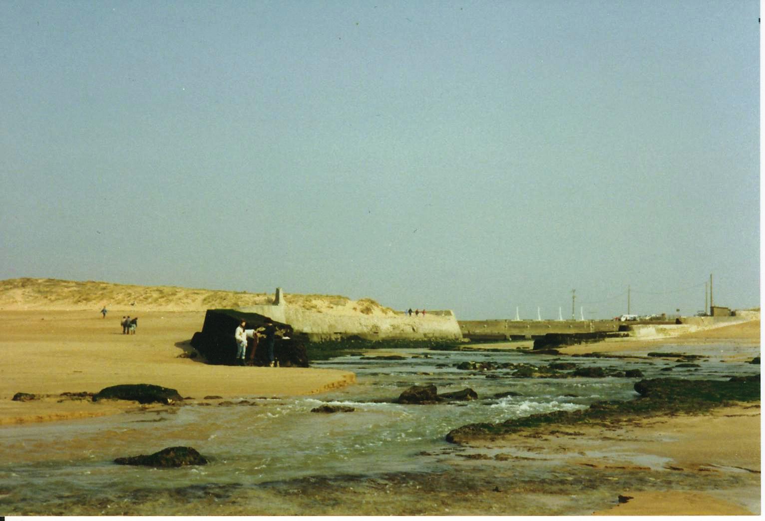 Vue de l'Ocan, l'entre du Havre de la Gachre  mare basse (annes 1990)