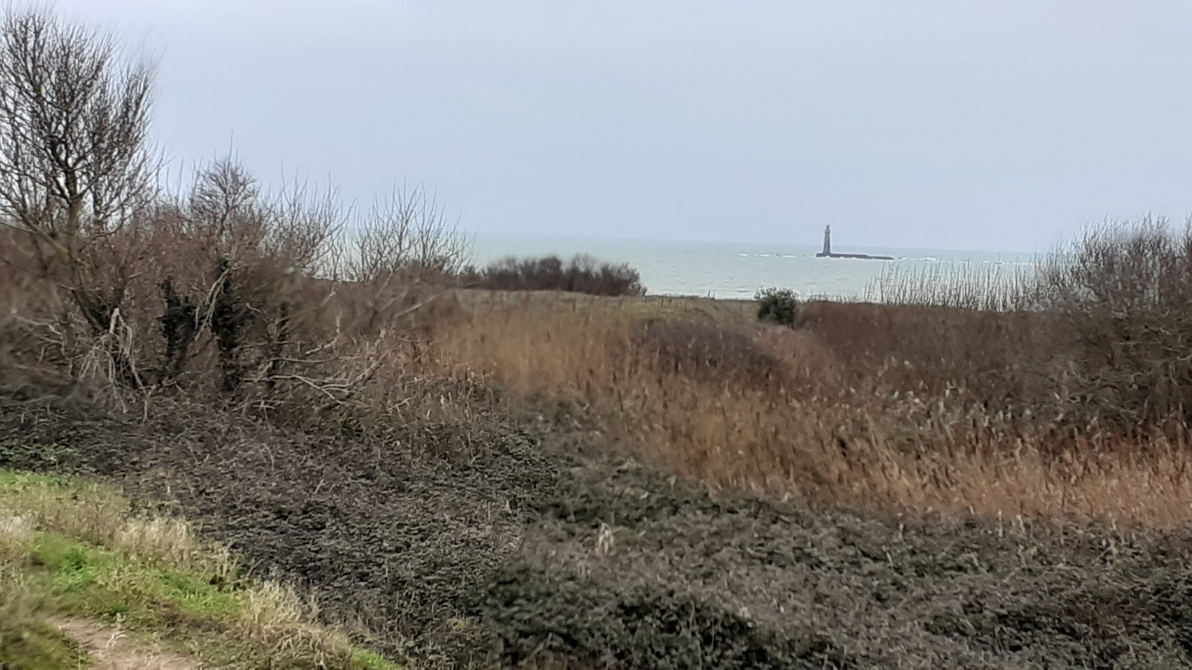 Dunes de la Paracou et le phare des Barges, La Chaume