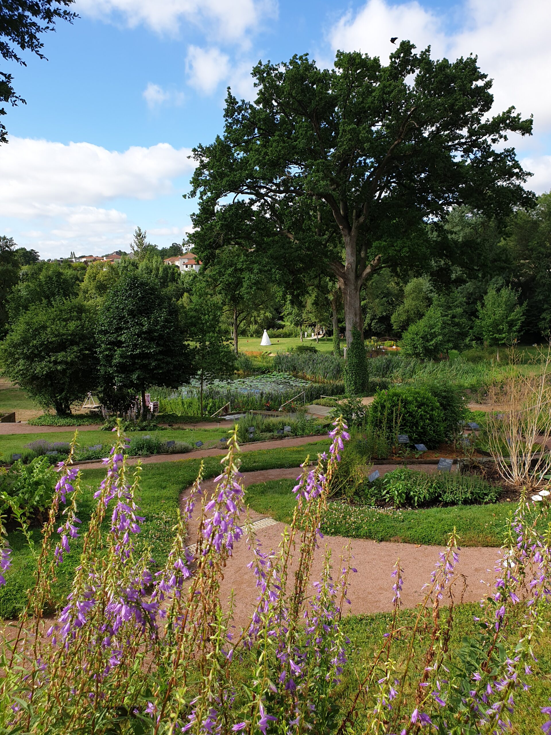Jardin remarquable en Anjou, Camifolia