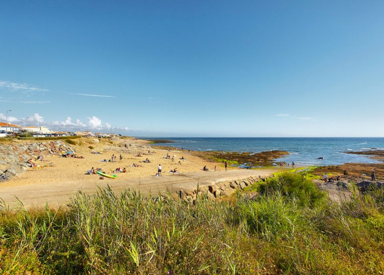 Cale de la Petite Sauzaie Bretignolles-sur-Mer (Vende)