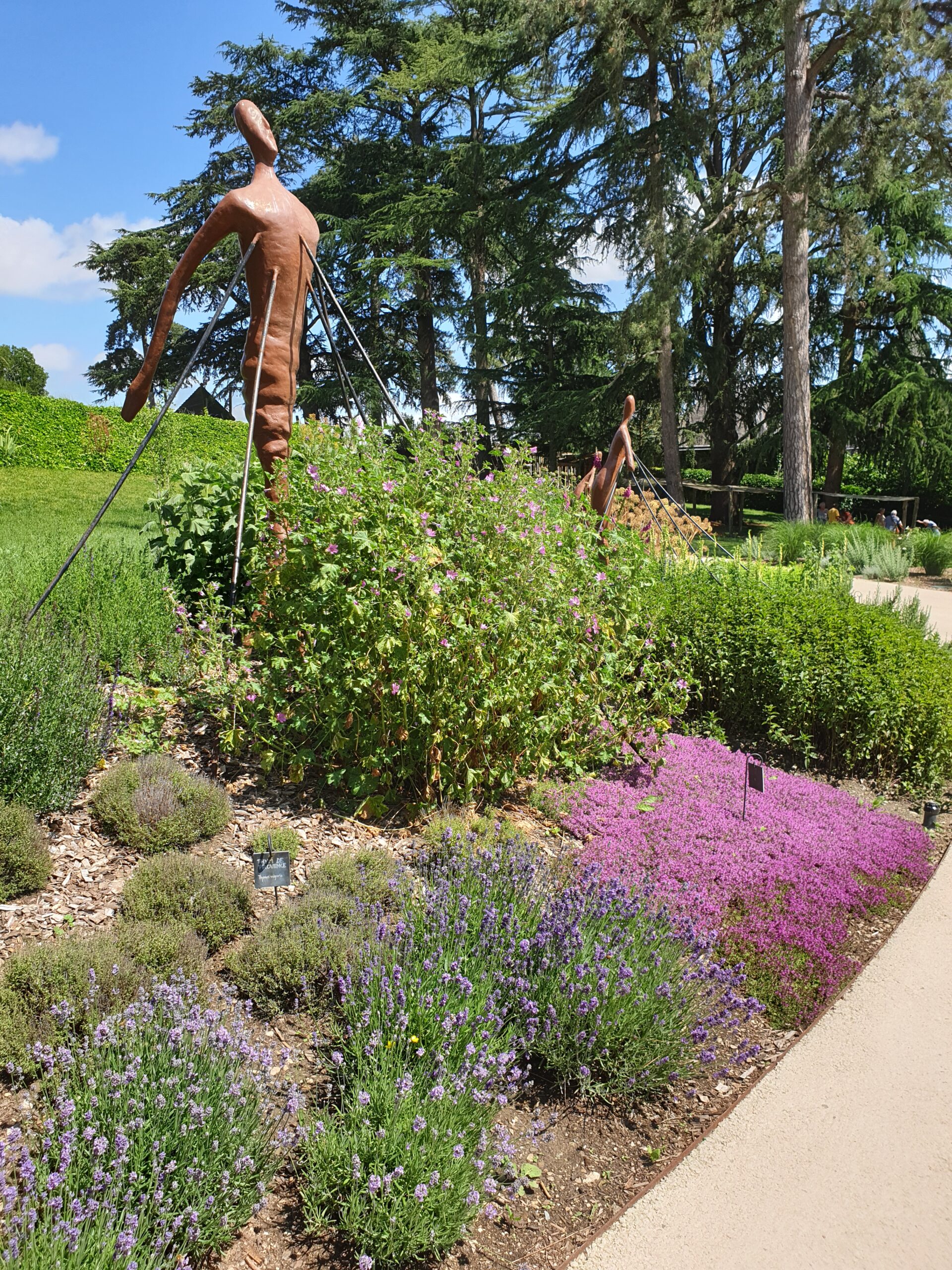 Jardin remarquable en Anjou, Camifolia