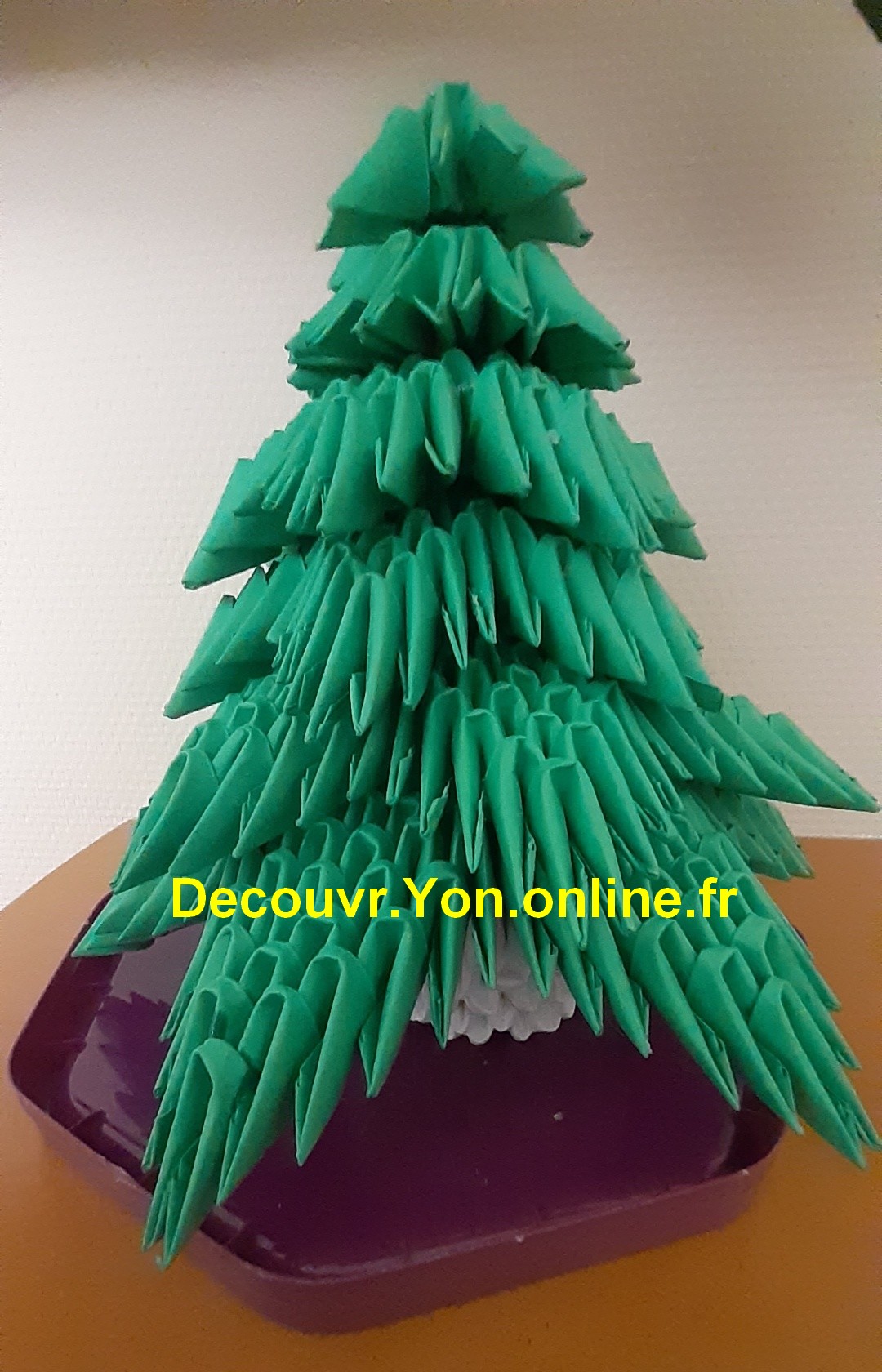 DecouvrYon_Sapin_20241004_200053.jpg