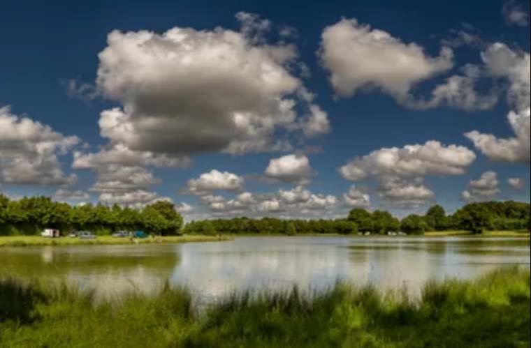 L'tang communal de la Rabretire, Les Essarts-en-Bocage (Vende)