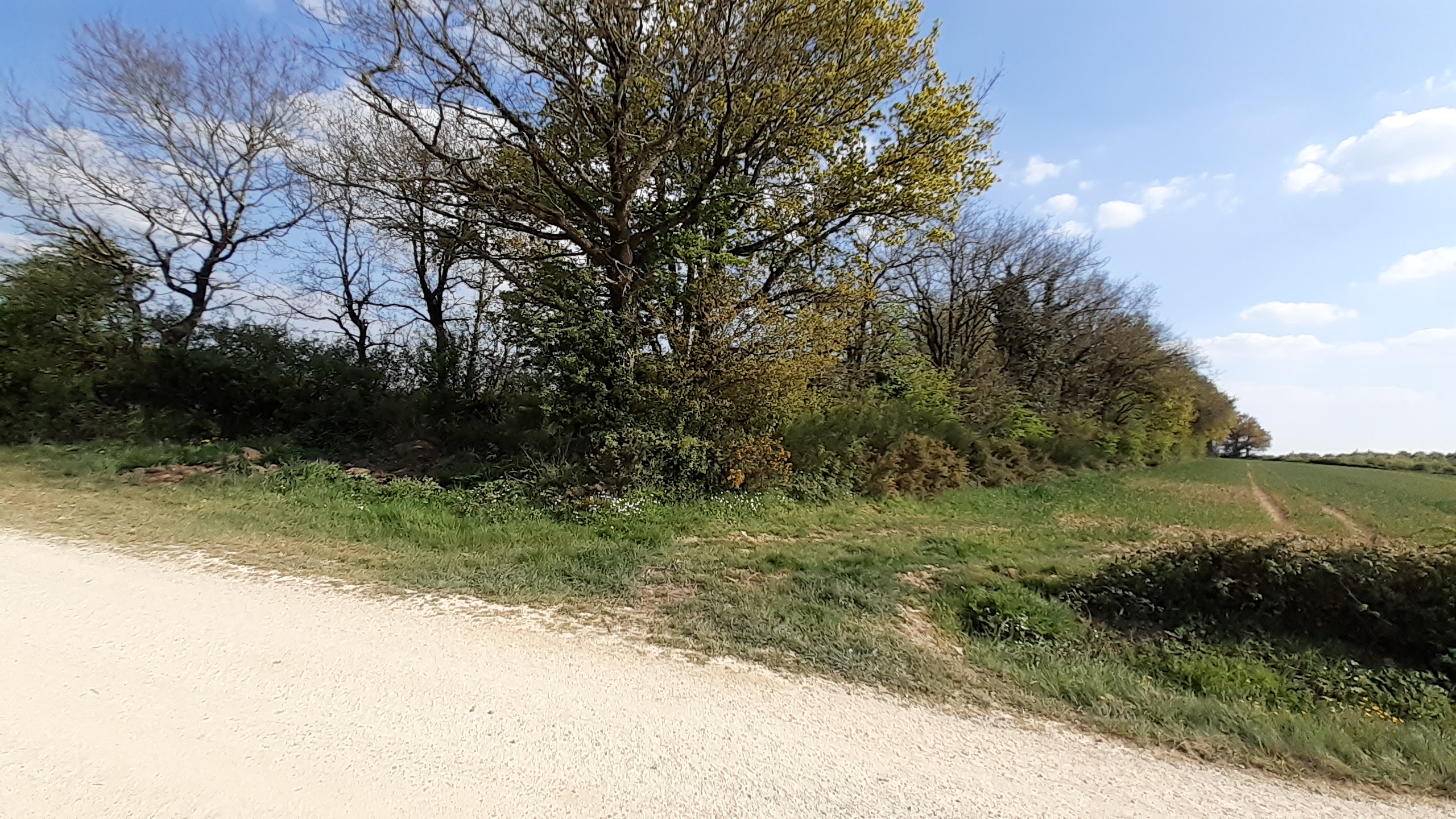 Chemin typique du Bas-Bocage  Chteau-Fromage