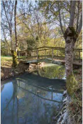 Mouzeuil_Pont